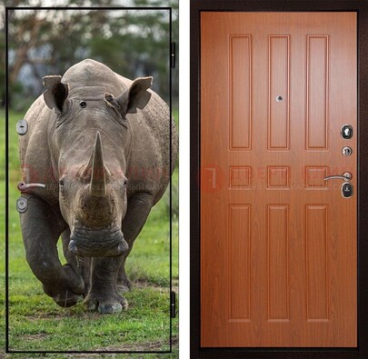 Металлическая дверь с фотопечатью носорога ДФ-31 в Бронницах