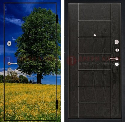 Железная дверь с фотопечатью дерева в поле ДФ-36 в Бронницах