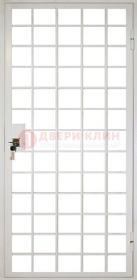 Белая металлическая решетчатая дверь ДР-2 в Ярославле