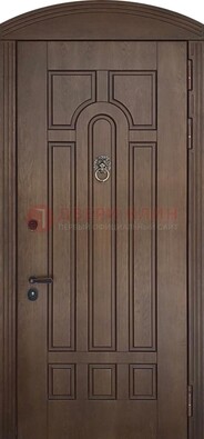 Коричневая стальная дверь с виноритом в форме арки ДВТ-237 в Королеве